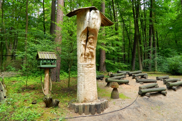 Arboretum w Kudypach - miejsce wypoczynku i edukacji