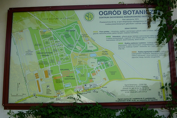 Arboretum w Powsinie - tablica informacyjna