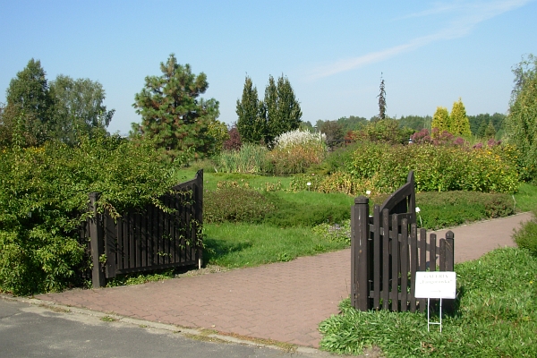 Arboretum w Powsinie