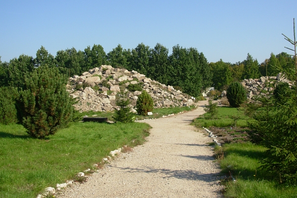 Arboretum w Powsinie - widok na wzgórza