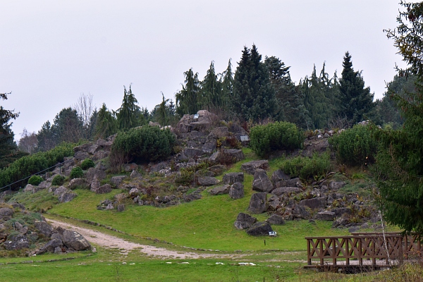 Arboretum w Powsinie - Kolekcja Roślin Górskich