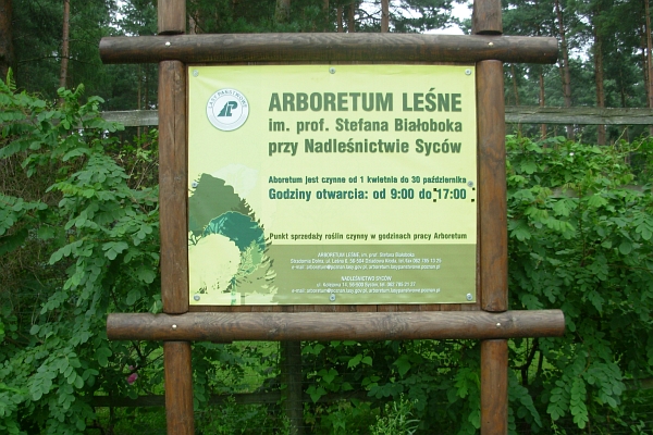 Arboretum w Sycowie - tablica informacyjna