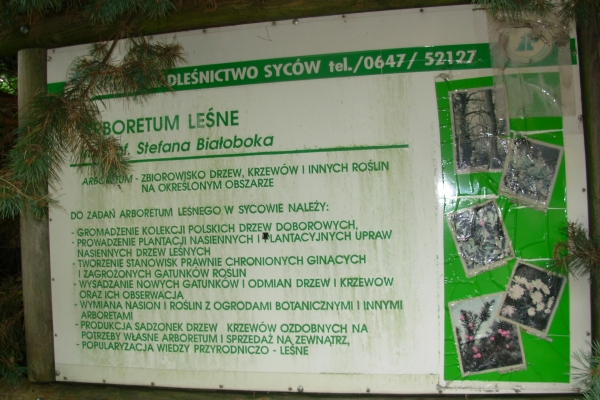 Arboretum w Sycowie - tablica informacyjna