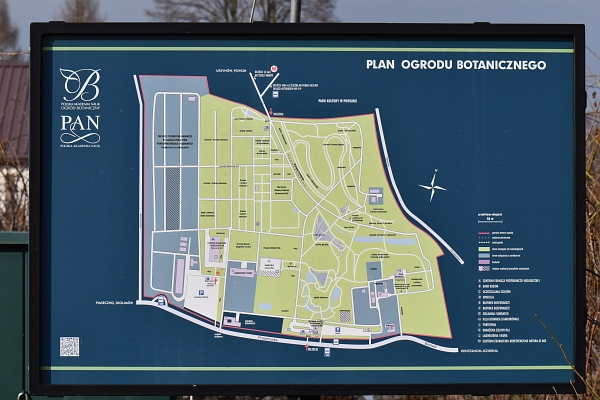 Plan arboretum w Powsinie