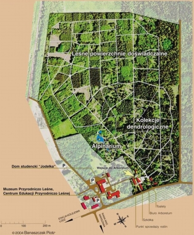 Arboretum w Rogowie - mapa