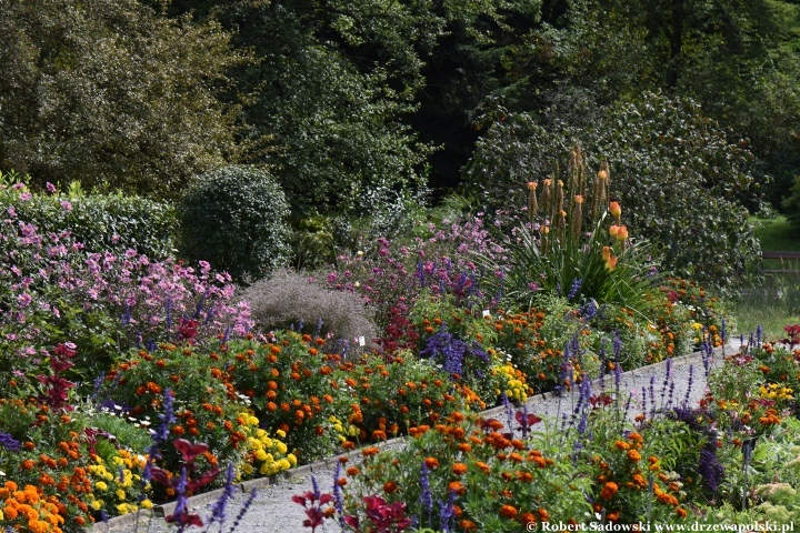 Ogród Botaniczny Uniwersytetu Jagiellońskiego w Krakowie