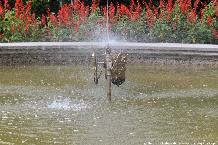 Ogród Botaniczny Uniwersytetu Jagiellońskiego w Krakowie