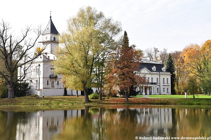 Widok na pałac