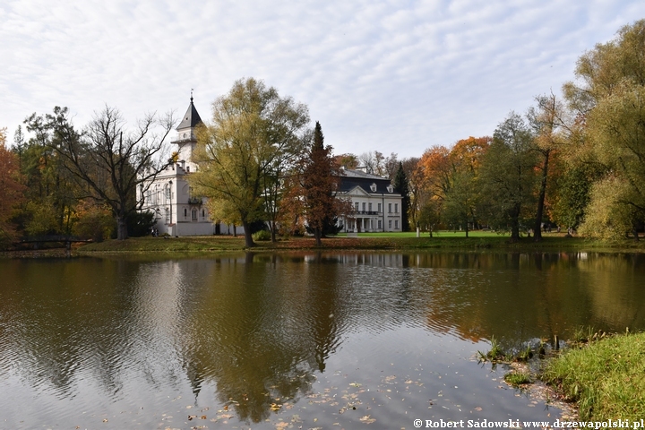 Widok na pałac