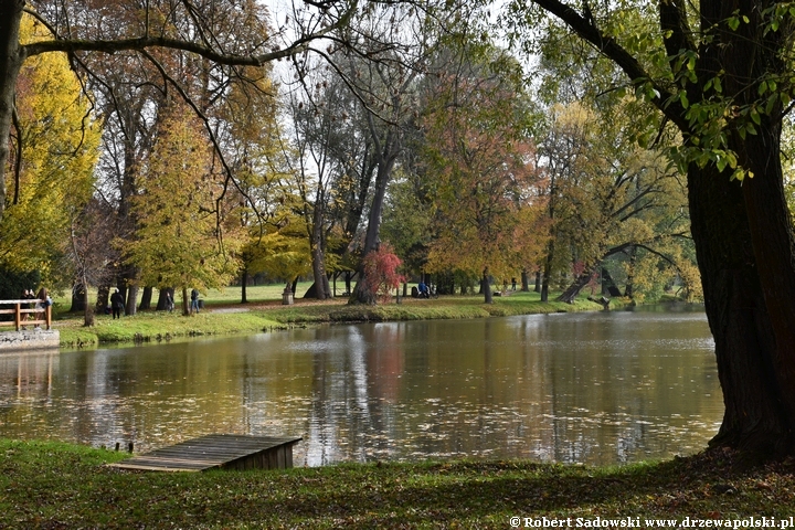 Widok na staw