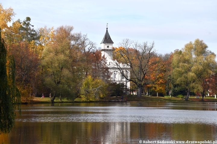 Widok na pałac