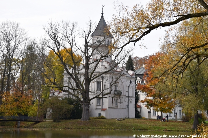 Pałac od strony pomnikowego jesionu wyniosłego